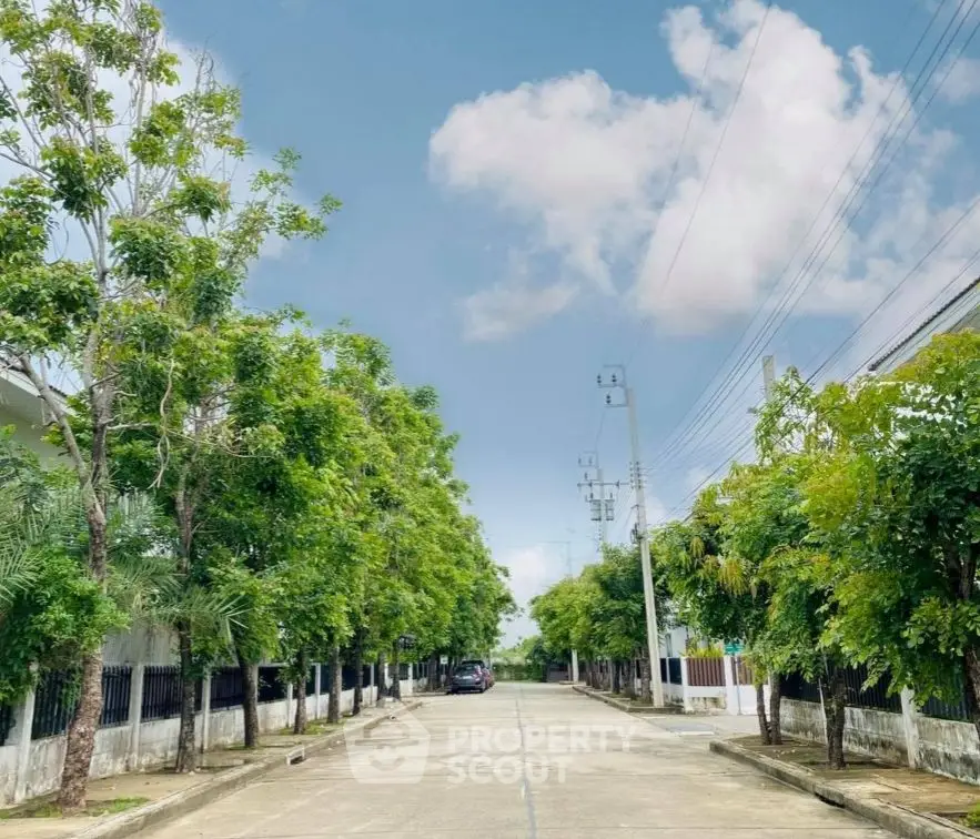 Charming residential street lined with lush greenery and clear blue sky.