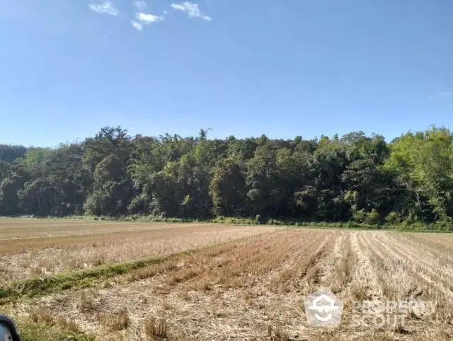 Expansive agricultural land with harvested fields under a clear blue sky, bordered by lush greenery, ideal for farming or development.