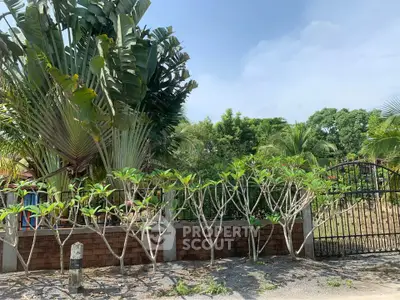 Charming tropical garden with lush greenery and elegant wrought iron gate, perfect for serene outdoor living.