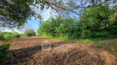 Expansive plot of land with lush greenery, perfect for development or agriculture.