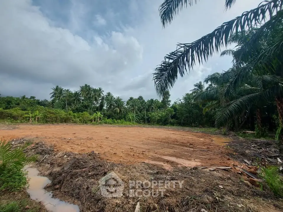 Expansive cleared land plot surrounded by lush tropical greenery, perfect for development opportunities.