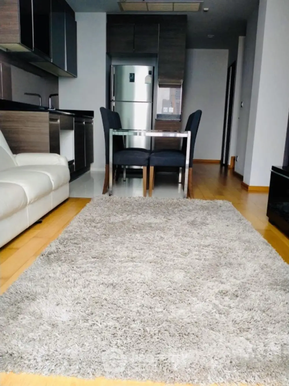 Modern open-layout kitchen and living area with sleek furniture and cozy rug