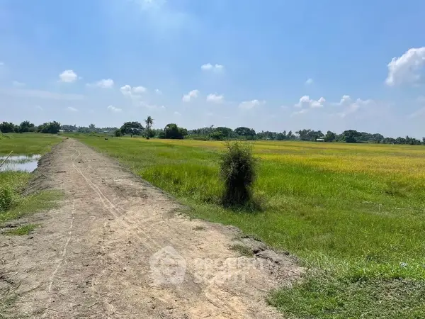 image_rental-11942308