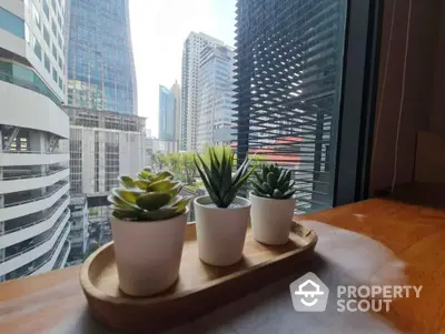 Modern city view from high-rise apartment with stylish indoor plants on wooden table.