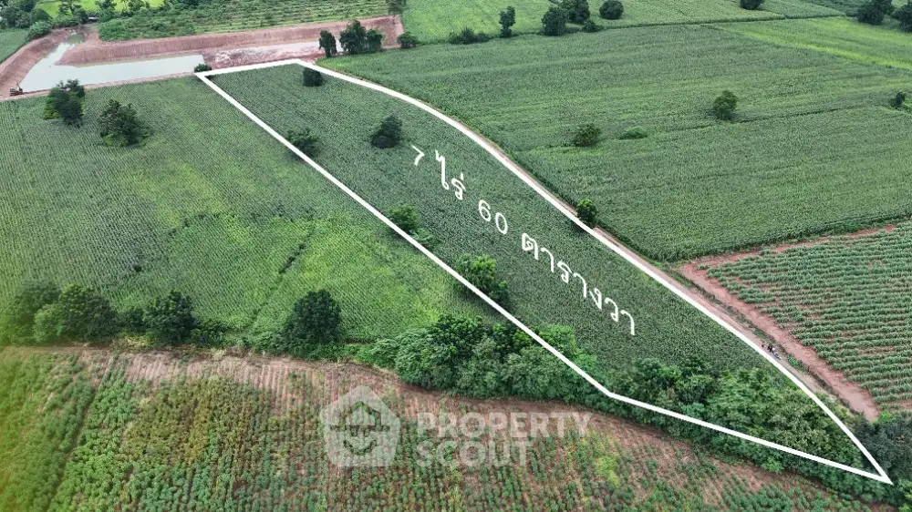 Expansive agricultural land for sale with clear boundary markings and lush greenery.