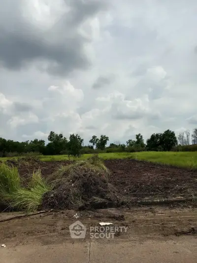 Expansive land plot with lush greenery and clear skies, perfect for development opportunities.