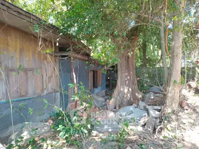 Rustic wooden house surrounded by lush greenery and trees, offering a serene natural setting.