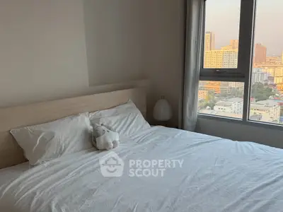 image_rental-30294110