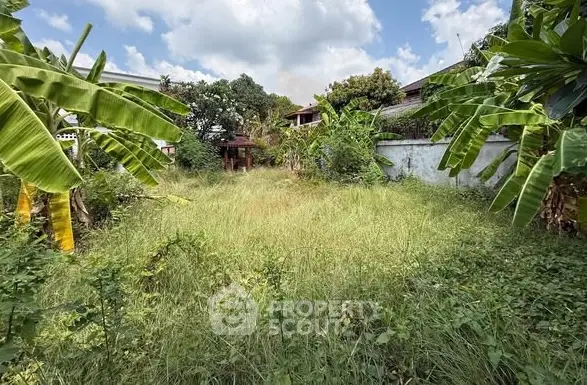 image_rental-31549653