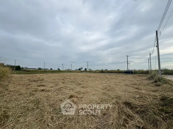 image_rental-27621601