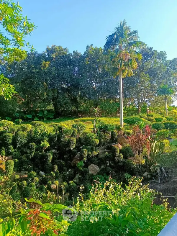 image_rental-29765198