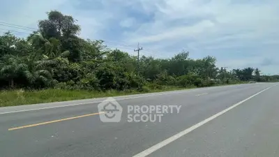 Expansive roadside land plot with lush greenery, ideal for development opportunities.