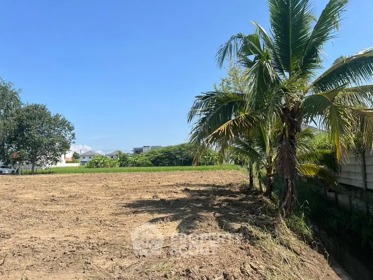 Prime vacant land with lush greenery and palm trees, perfect for development in a serene location.