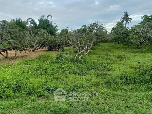 image_rental-30919251