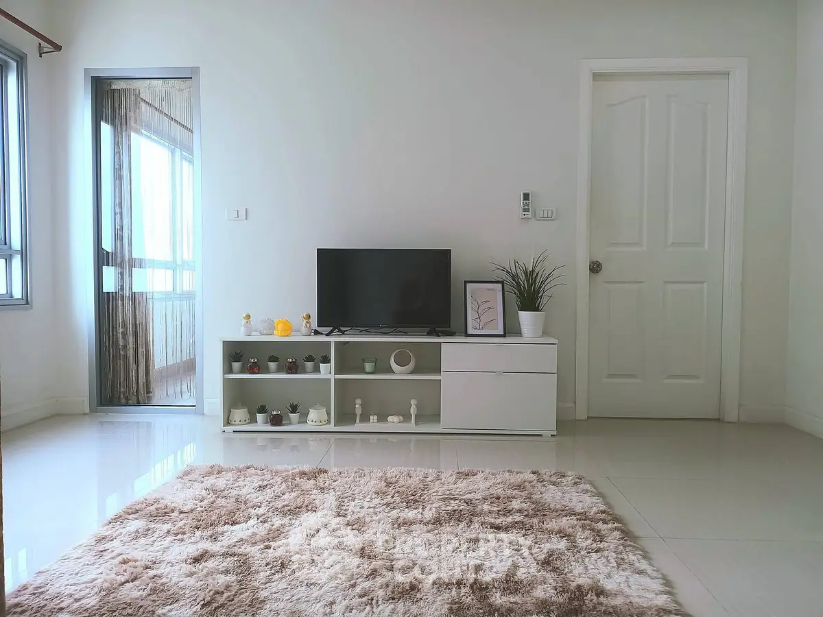 Modern living room with plush rug and sleek TV stand in bright apartment