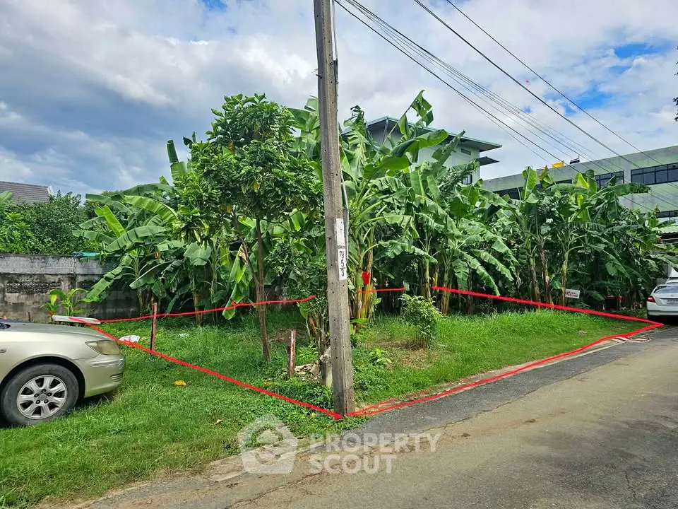 Prime corner plot with lush greenery and potential for development in a serene neighborhood.