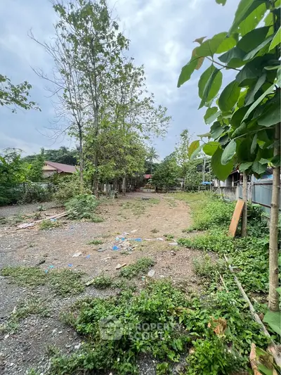 Spacious vacant land with lush greenery, ideal for development or investment opportunities.