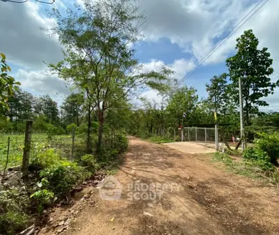 image_rental-27767236