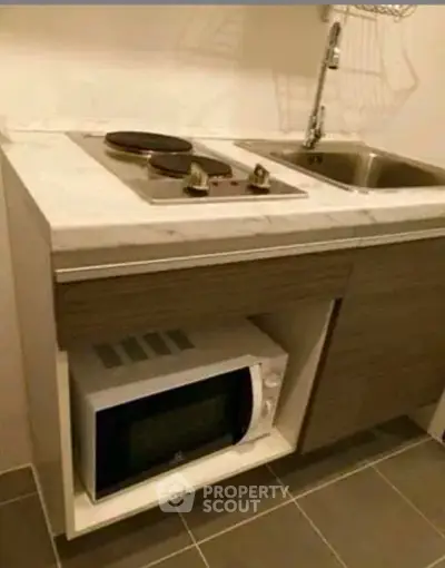 Compact kitchen with stove, sink, and microwave in modern apartment