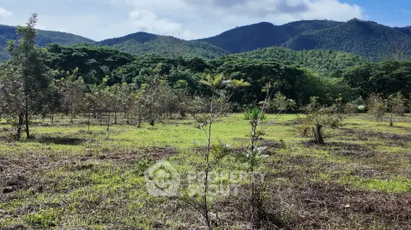 image_rental-27769817