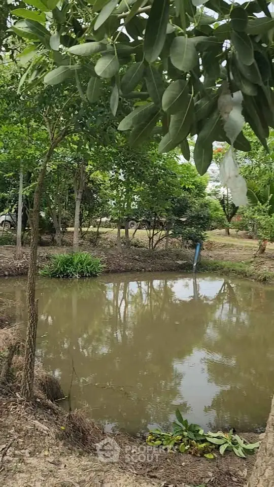 Serene garden view with lush greenery and tranquil pond, perfect for nature lovers seeking a peaceful retreat.