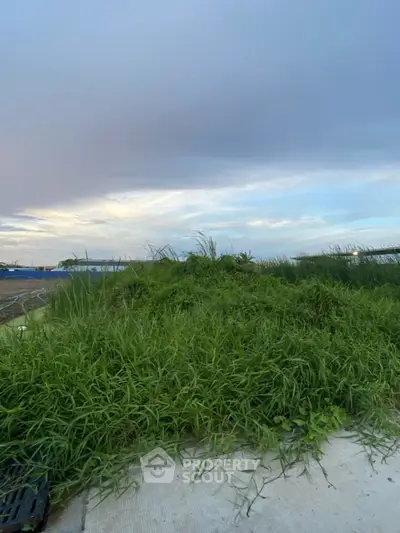 Expansive land plot with lush greenery and open sky, perfect for development opportunities.