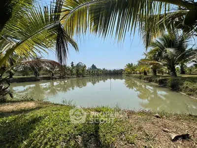 Serene tropical landscape with lush palm trees surrounding a tranquil pond, perfect for a private retreat.