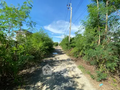 Scenic rural pathway surrounded by lush greenery and clear blue sky.