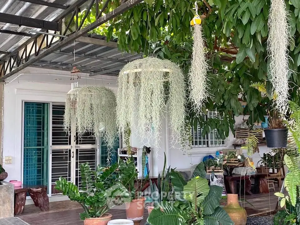 Charming garden patio with lush greenery and hanging plants, perfect for relaxation and outdoor gatherings.
