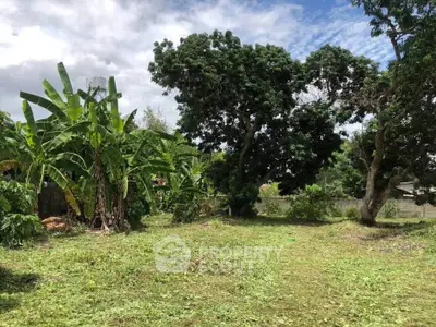 Spacious green garden with lush trees and clear sky, perfect for outdoor activities.