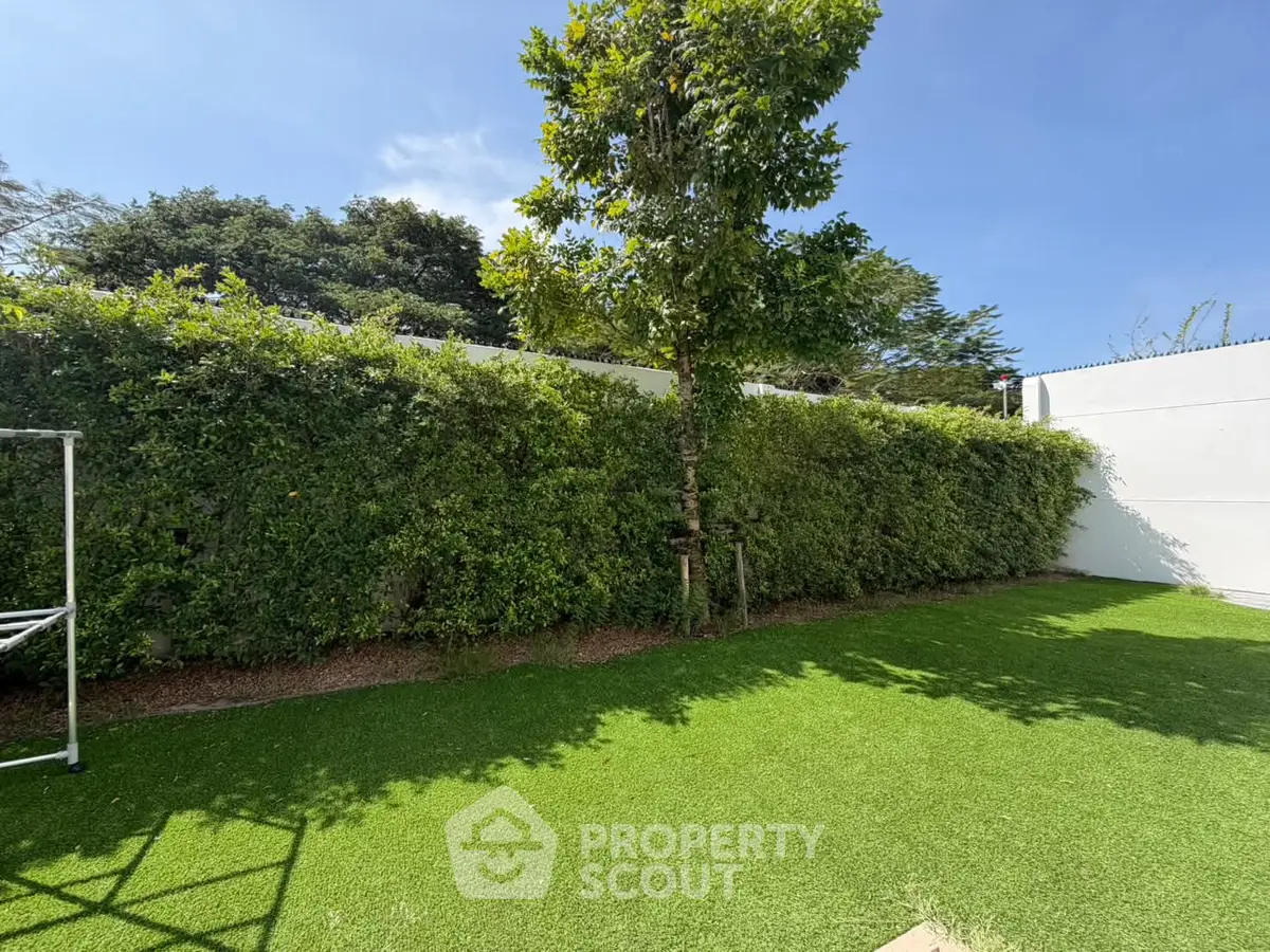 Lush green garden with privacy hedge and sunny blue sky