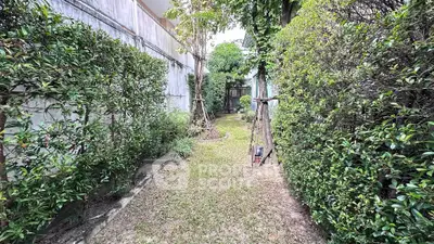 Charming garden pathway with lush greenery and serene ambiance