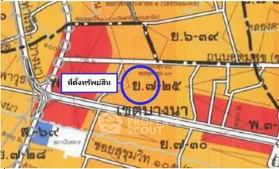 image_rental-31656325