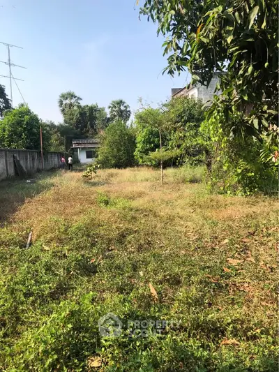 Spacious residential plot with lush greenery and potential for development