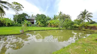 image_rental-27729209