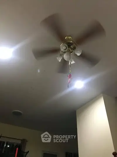 Ceiling fan with lights in a cozy living room setting