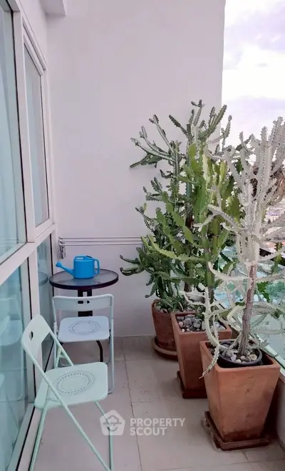 Charming balcony with potted cacti and seating, perfect for relaxation.
