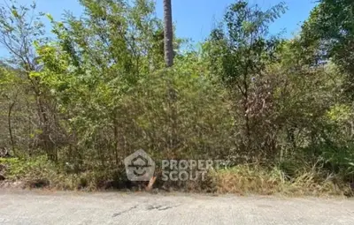 Screenshot 2569-02-12 at 12.55.48.jpg