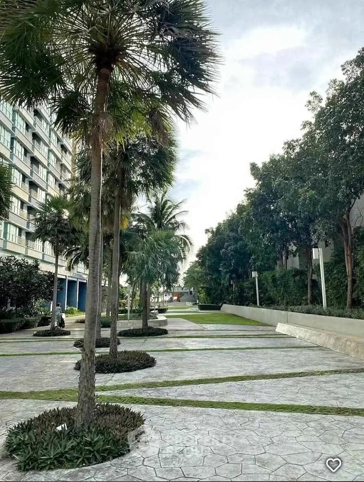 Beautiful landscaped garden with palm trees in modern residential complex.