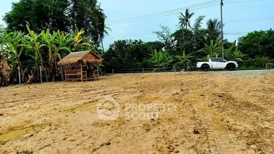 Spacious land plot with lush greenery and rustic hut, ideal for development or agriculture.