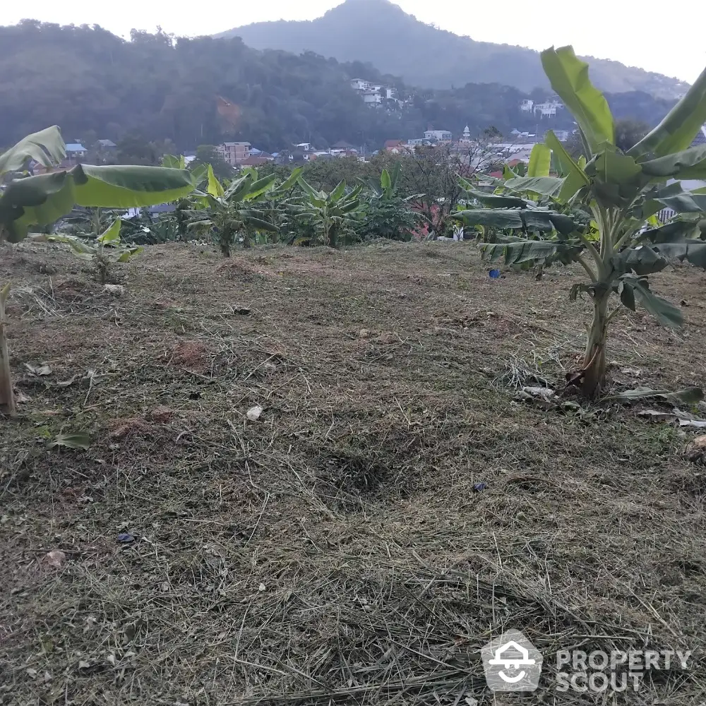 Scenic land plot with banana trees and mountain view, ideal for development