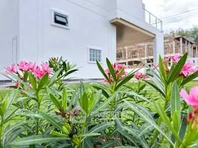 Charming garden view with blooming flowers beside a modern white building exterior.