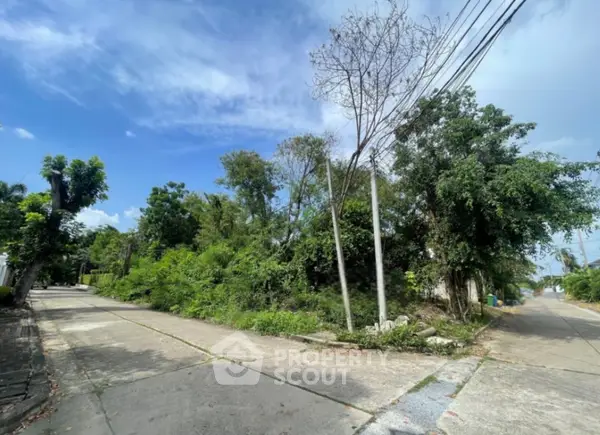 image_rental-28010381