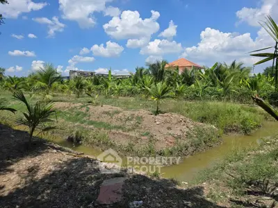 Lush tropical landscape with palm trees and a serene waterway under a bright blue sky.
