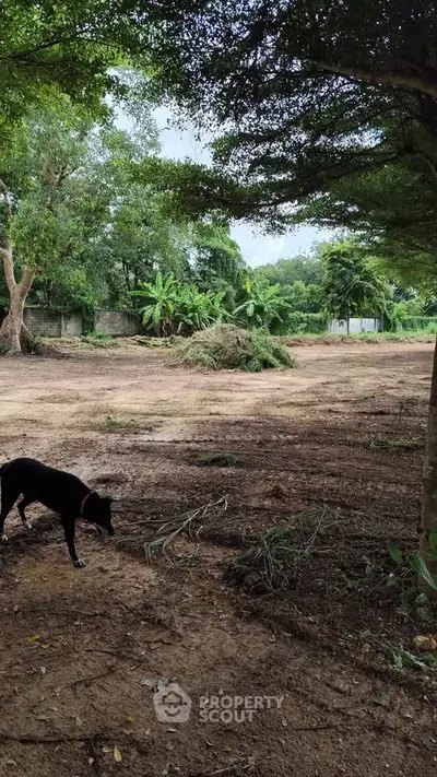 Spacious land plot with lush greenery, perfect for development or investment opportunities.