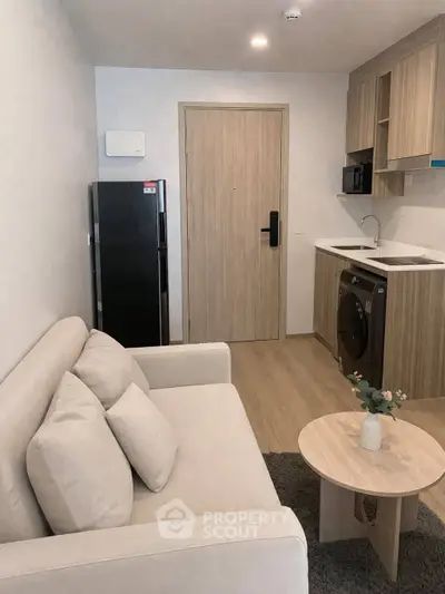 Modern compact living room with kitchenette, featuring a washing machine and cozy sofa.