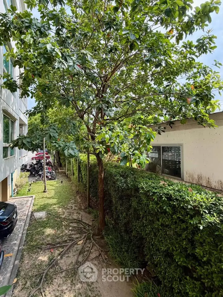 Lush garden view with mature trees and greenery in residential area