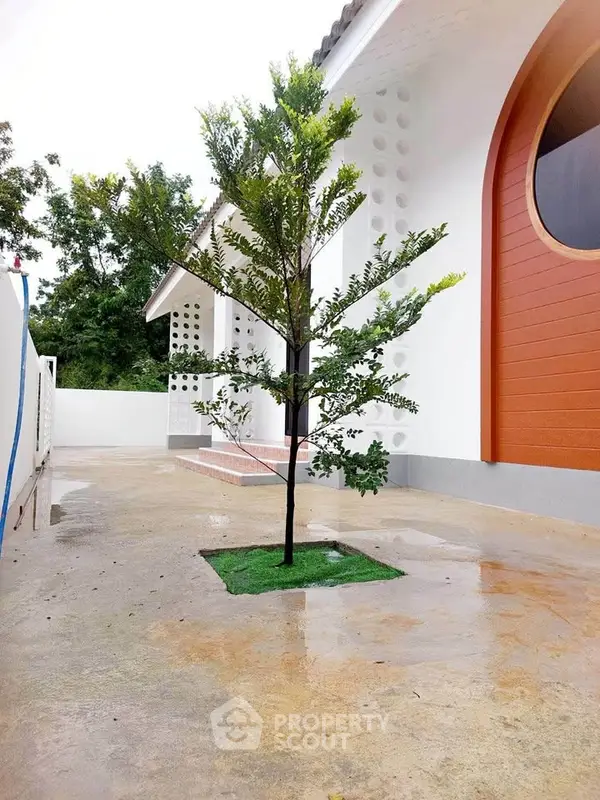 image_rental-28960145