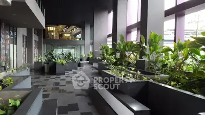 image_rental-30572935