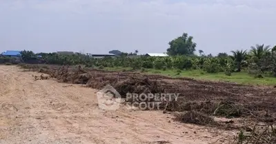 image_rental-31493816